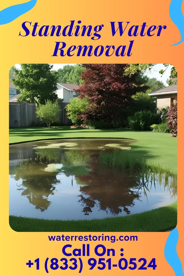 Standing Water Removal in Jefferson City, MO